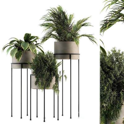 现代绿植盆栽-7